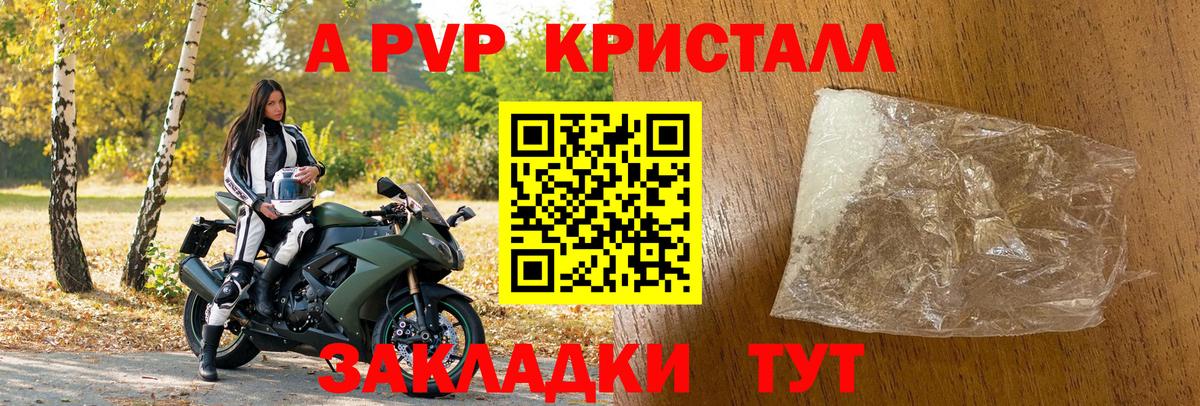 даркнет сайт  Вход с VPN  Кингисепп  A PVP СК КРИС 