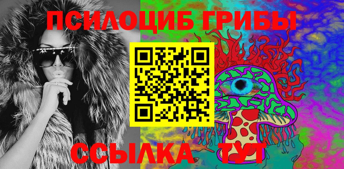 Галлюциногенные грибы Psilocybine cubensis Кингисепп
