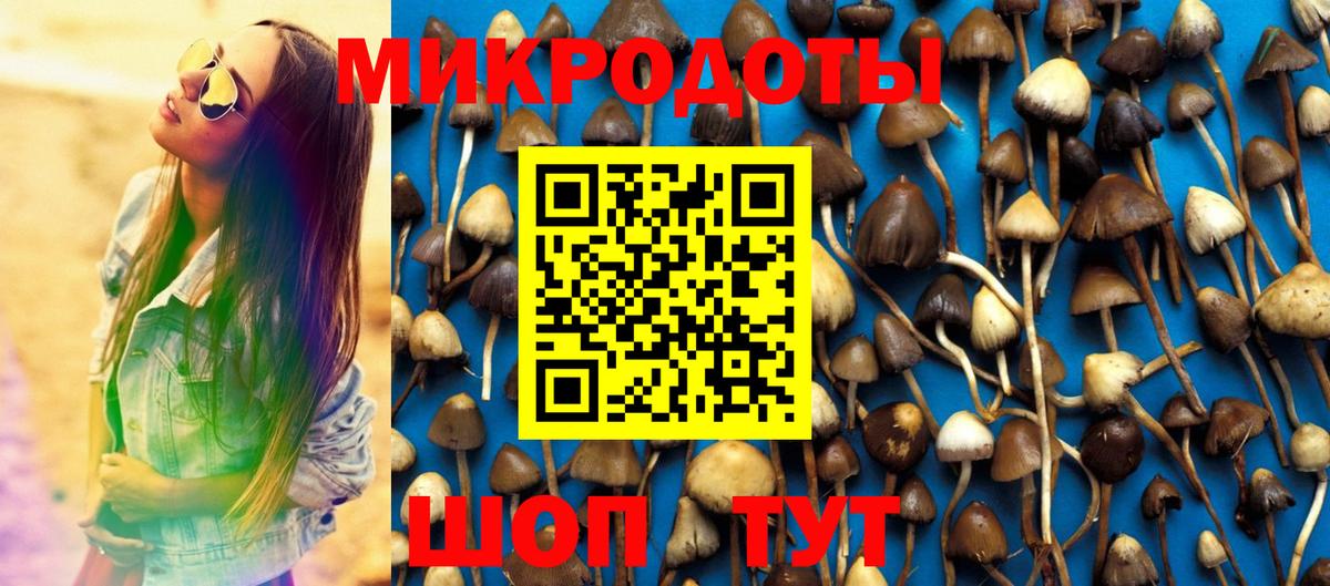 Кингисепп  Галлюциногенные грибы GOLDEN TEACHER  Псилоцибиновые грибы Psilocybine cubensis  Вход с VPN 